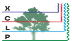 Почему космическая радиолокация не может заменить лидарную съемку для определения высот подстилающей поверхности в лесных массивах
